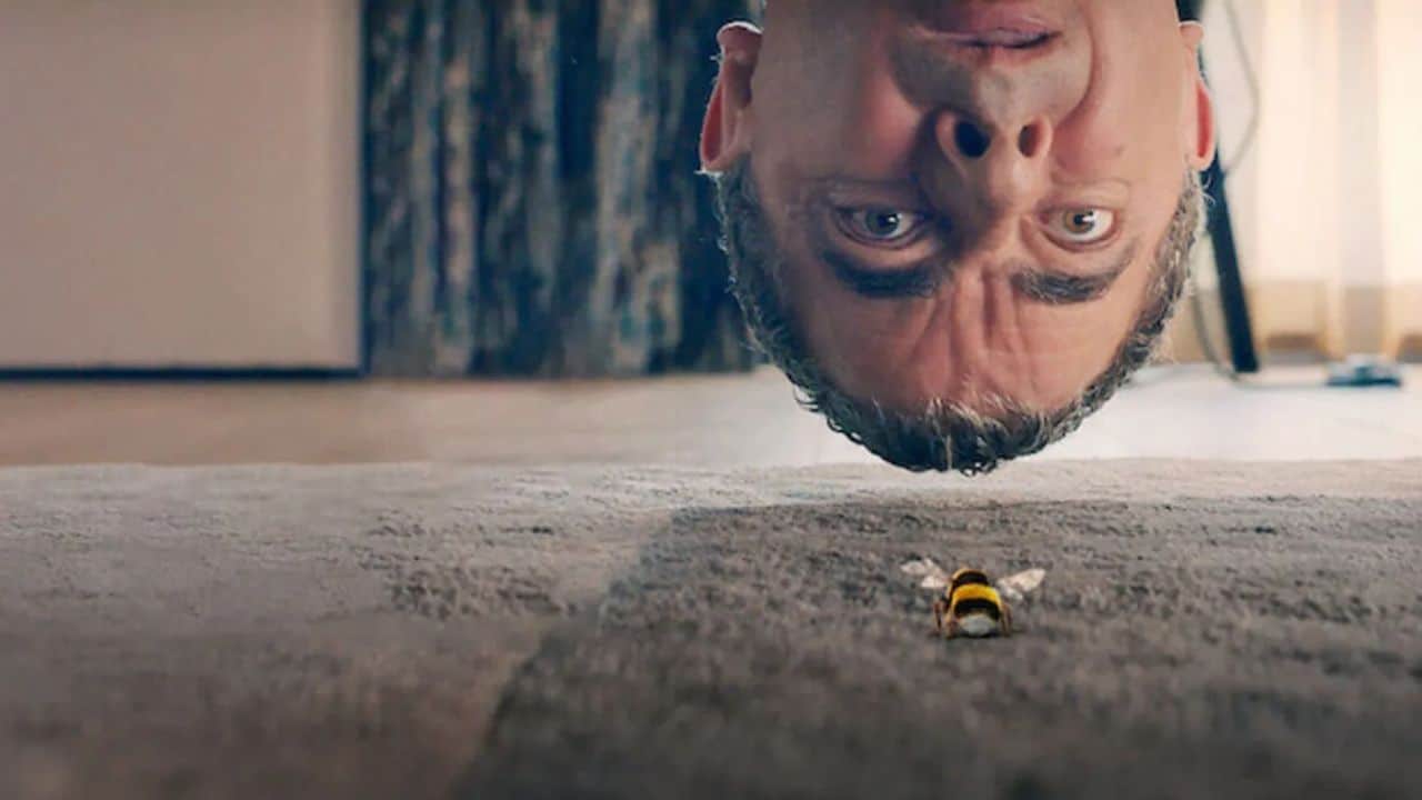 Homem x Abelha é uma das grandes séries de comédia da Netflix
