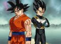 Dragon Ball: Goku e Vegeta