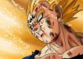 Dragon Ball Vegeta